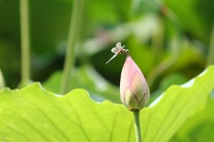 孝顺父母改变诸事不顺