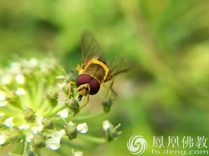 不要在别人眼光里找快乐