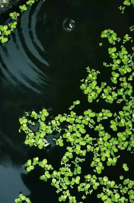 一日禅：活在当下