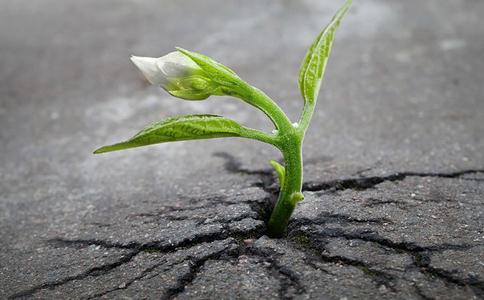 人生三十而立