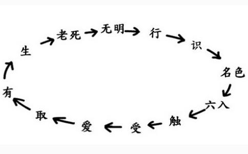 顺观十二因缘：从无明到老死