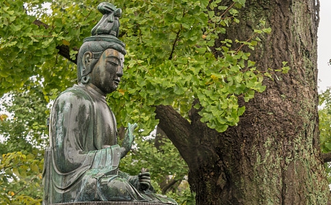 太虚大师：答黄覕子问（二则）