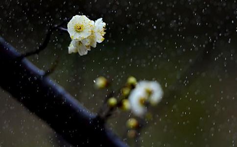 风雨无悔 笑傲江湖