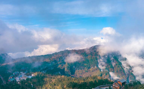 峨眉山的禅茶文化