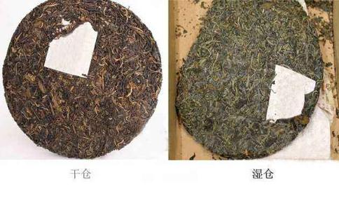 如何区分普洱茶的干仓和湿仓？