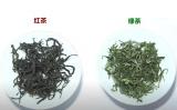 红茶和绿茶的区别