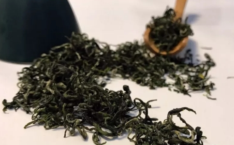 雁荡毛峰属于什么茶？雁荡毛峰茶的特点与由来