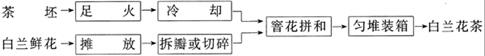 白兰花茶是什么茶？白兰花茶介绍