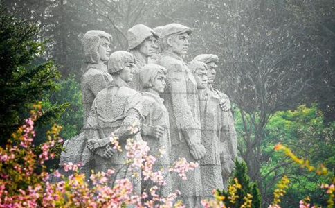 雨花茶属于什么茶？南京雨花茶的由来与特点