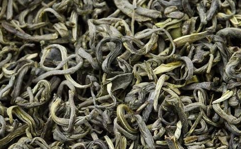 碣滩茶属于什么茶？碣滩茶的特点