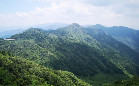 南岳云雾属于什么茶？南岳云雾茶的产地与特点