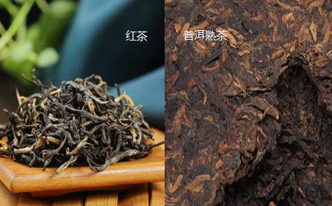 红茶与普洱熟茶的区别