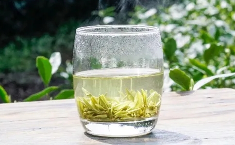 天目青顶是什么茶？天目云雾茶的特征与介绍