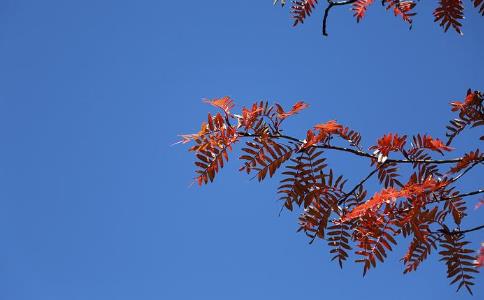 邪淫危害太大了，要改正并走出来