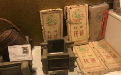 茯砖茶的金花是什么？茯茶金花是怎么形成的？