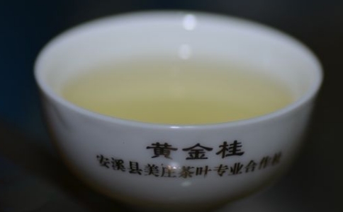 黄金桂是闽南乌龙吗？黄金桂的茶树品种与特点