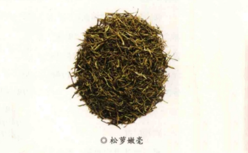 安徽松萝山什么茶最有名？炒青鼻祖松萝茶介绍