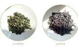 乌龙茶是什么茶？